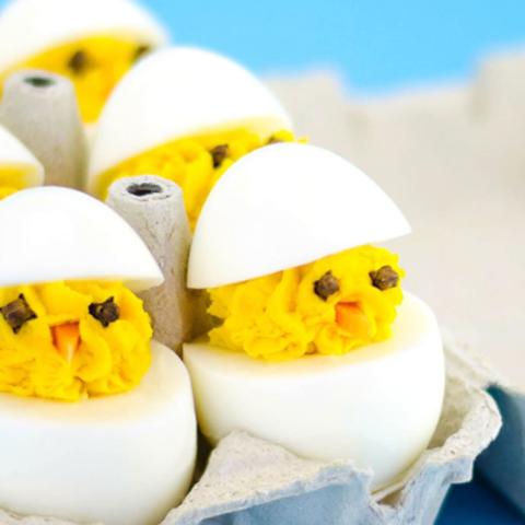 Pulcini di Pasqua