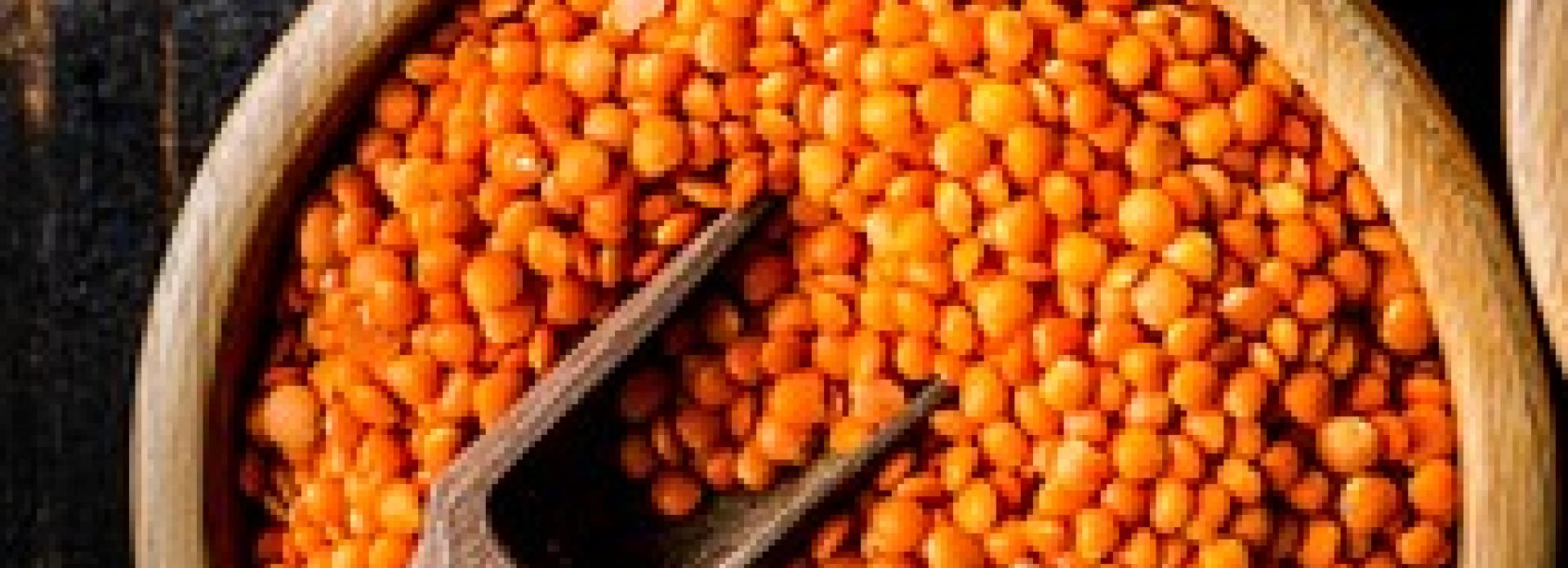 Cooked lentils Cooked lentils